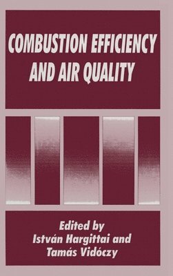 Tamas Vidoczy, Istvan Hargittai, Tamas Vidoczy - Combustion Efficiency and Air Quality, Inbunden