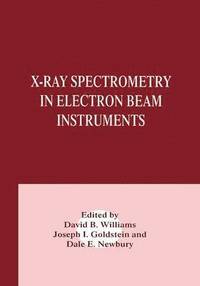 bokomslag X-Ray Spectrometry in Electron Beam Instruments