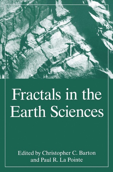 bokomslag Fractals in the Earth Sciences