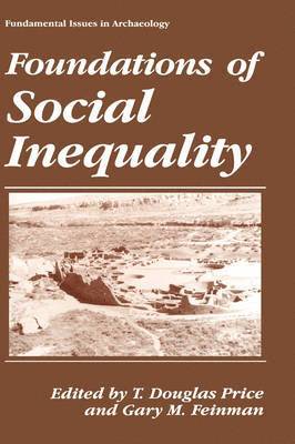 bokomslag Foundations of Social Inequality
