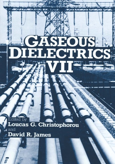 bokomslag Gaseous Dielectrics VII