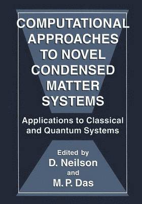 Gordon Godfrey International Workshop on, M.P. Das, D. Neilson, M. P. Das - Computational Approaches to Novel Condensed Matter Systems, Inbunden
