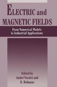 bokomslag Electric and Magnetic Fields