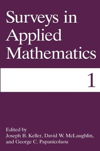 bokomslag Surveys in Applied Mathematics