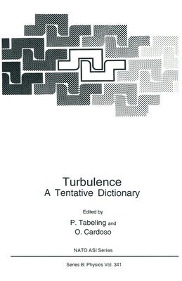 bokomslag Turbulence