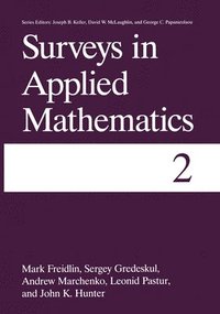 bokomslag Surveys in Applied Mathematics: v. 2
