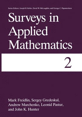 bokomslag Surveys in Applied Mathematics: Volume 2