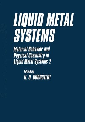 bokomslag Liquid Metal Systems