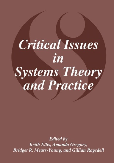 bokomslag Critical Issues in Systems Theory and Practice