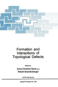 bokomslag Formation and Interactions of Topological Defects