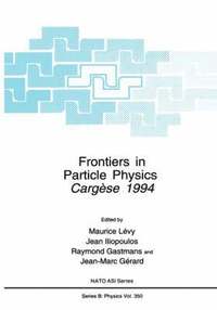 bokomslag Frontiers in Particle Physics