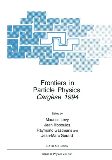 bokomslag Frontiers in Particle Physics