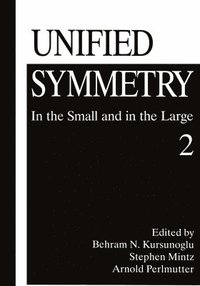 bokomslag Unified Symmetry: v. 2 Proceedings of the 23rd Coral Gables Conference Held in Coral Gables, Florida, February 2-5, 1995