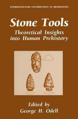 bokomslag Stone Tools