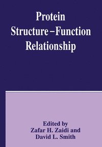 bokomslag Protein Structure - Function Relationship