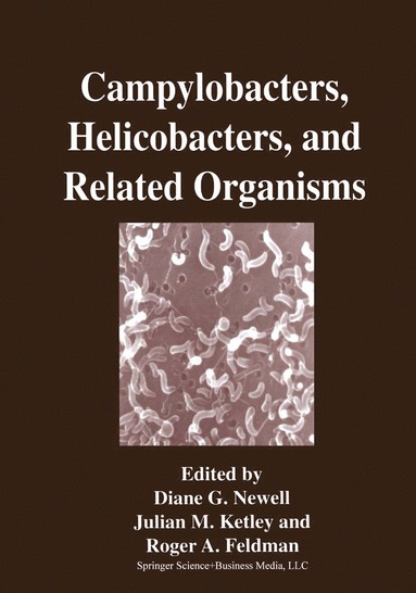 bokomslag Campylobacters, Helicobacters, and Related Organisms