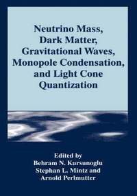 bokomslag Neutrino Mass, Dark Matter, Gravitational Waves, Monopole Condensation, and Light Cone Quantization