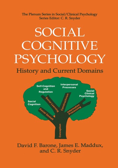 bokomslag Social Cognitive Psychology