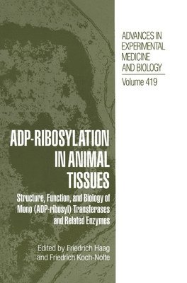Proceedings of an International Workshop Held in Hamburg, Germany, May 19-23, 1996