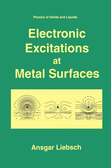 Ansgar Liebsch - Electronic Excitations at Metal Surfaces, Inbunden