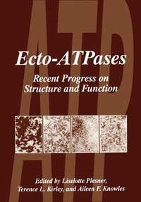 bokomslag Ecto-ATPases: Proceedings of the First International Workshop Held in Mar de Plata, Argentina, August 26-30, 1996