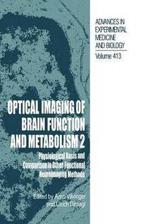 bokomslag Optical Imaging of Brain Function and Metabolism 2
