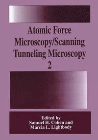 bokomslag Atomic Force Microscopy/Scanning Tunneling Microscopy 2