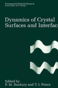 bokomslag Dynamics of Crystal Surfaces and Interfaces