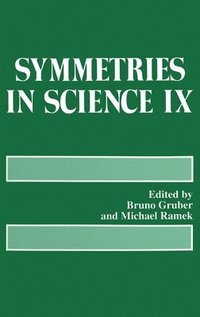 bokomslag Symmetries in Science: 9th Proceedings of a Symposium Held in Bregenz, Austria, August 6-10, 1996