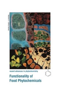 bokomslag Functionality of Food Photochemicals