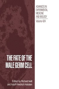 bokomslag The Fate of the Male Germ Cell