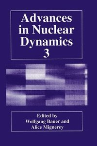 bokomslag Advances in Nuclear Dynamics: Proceedings of the 13th Winter Workshop on Nuclear Dynamics Held in Marahon, Florida, February 1-8, 1997