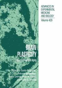 bokomslag Brain Plasticity