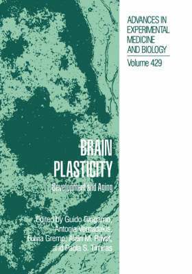 Guido Filogamo, Antonia Vernadakis, Fulvia Gremo, Alain M. Privat, Paola S. Timiras - Brain Plasticity, Inbunden