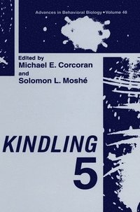bokomslag Kindling: 5th Proceedings of the Fifth International Conference Held in Victoria, Canada, June 27-30, 1996