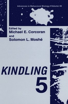 International Conference on Kindling, Michael E. Corcoran, Solomon L. Moshé - Proceedings of the Fifth International Conference Held in Victoria, Canada, June 27-30, 1996, Häftad