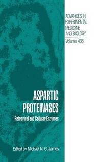 bokomslag Aspartic Proteinases