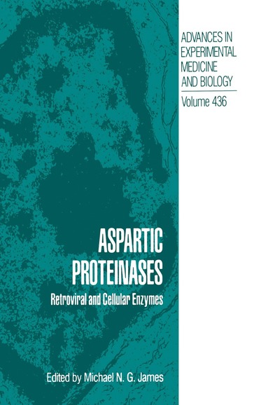 bokomslag Aspartic Proteinases