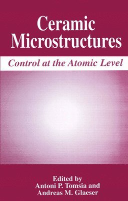 Ceramic Microstructures 1