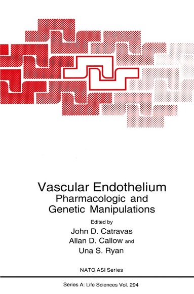 bokomslag Vascular Endothelium