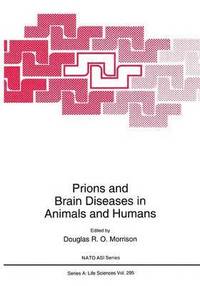 bokomslag Prions and Brain Diseases in Animals and Humans