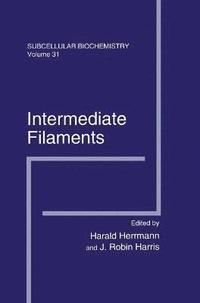 bokomslag Intermediate Filaments
