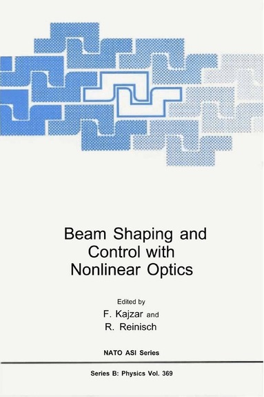 Raymond Reinisch, North Atlantic Treaty Organization, F. Kajzar, R. Reinisch - Beam Shaping and Control with Nonlinear Optics, Inbunden