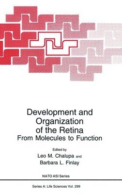 North Atlantic Treaty Organization, NATO Advanced Study Institute on Develop, Leo M. Chalupa, Barbara L. Finlay - Development and Organization of the Retina, Inbunden