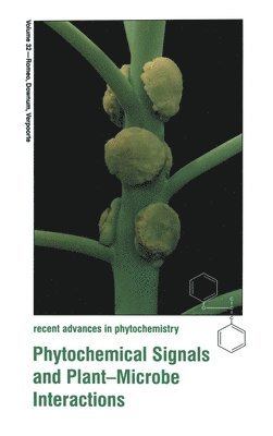 Phytochemical Society of North America, John T. Romeo, Kelsey R. Downum, Robert Verpoorte - Phytochemical Signals and Plant-Microbe Interactions, Inbunden