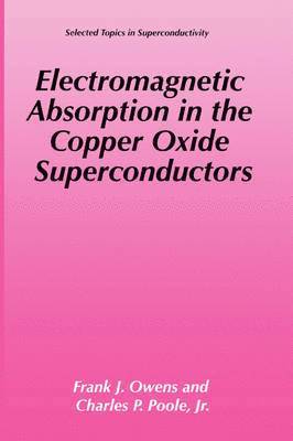 bokomslag Electromagnetic Absorption in the Copper Oxide Superconductors