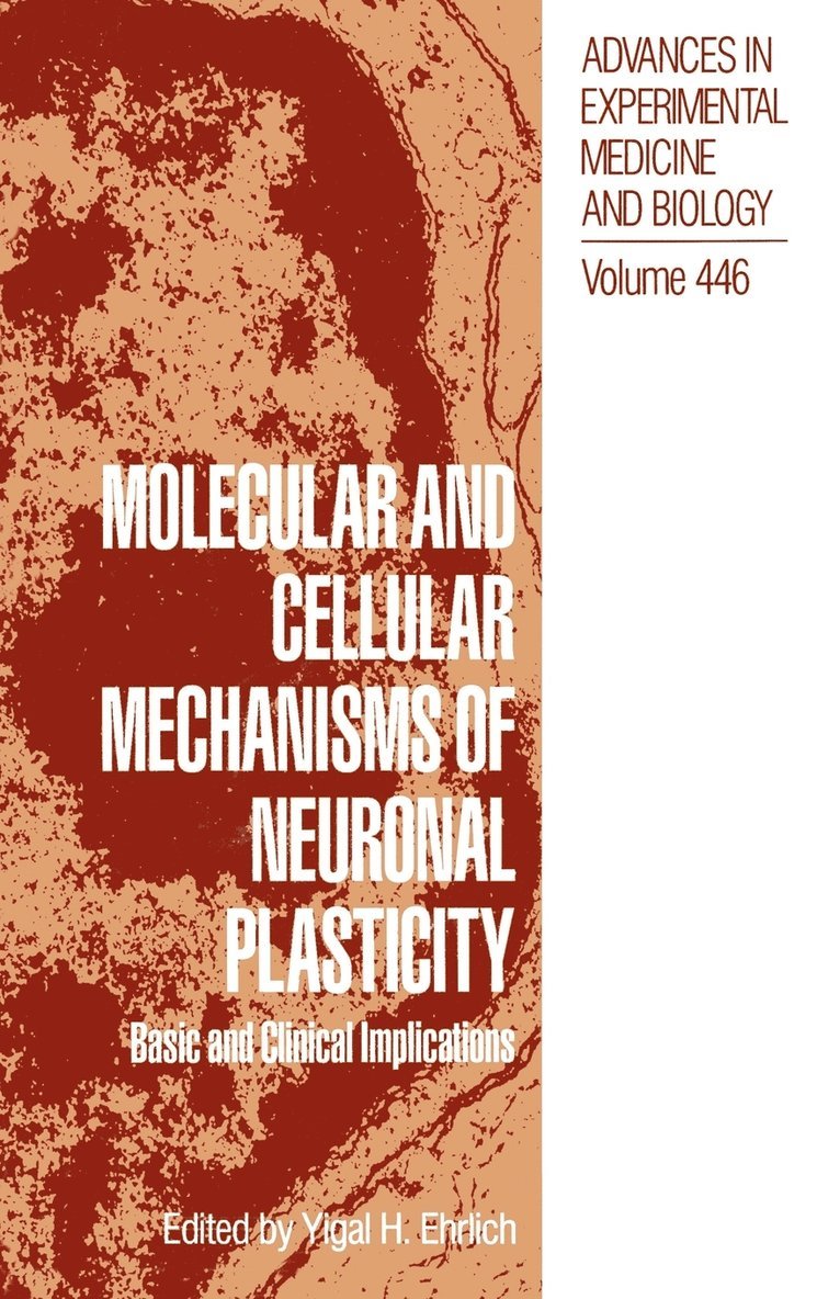Molecular and Cellular Mechanisms of Neuronal Plasticity