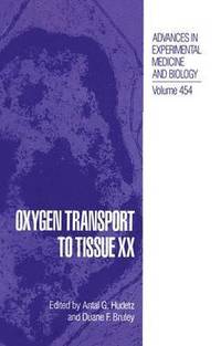 bokomslag Oxygen Transport to Tissue: v. 20 7