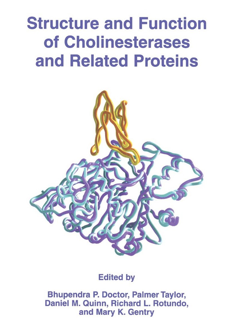 Bhupendra P. Doctor, Palmer Taylor, Daniel M. Quinn, Richard L. Rotundo, Mary Kay Gentry, Bhupendra P Doctor, Daniel M Quinn, Richard L Rotundo - Structure and Function of Cholinesterases and Related Proteins, Inbunden