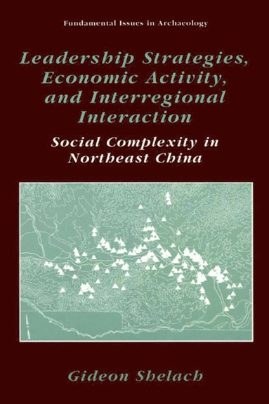 bokomslag Leadership Strategies, Economic Activity, and Interregional Interaction